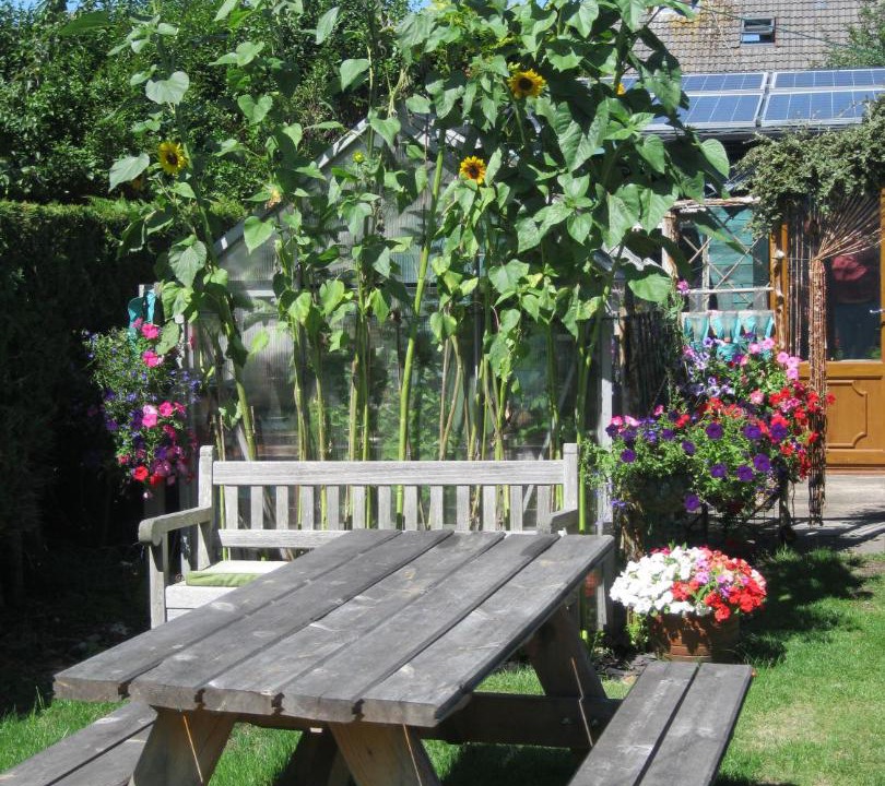 Photo of Others in Petersfield