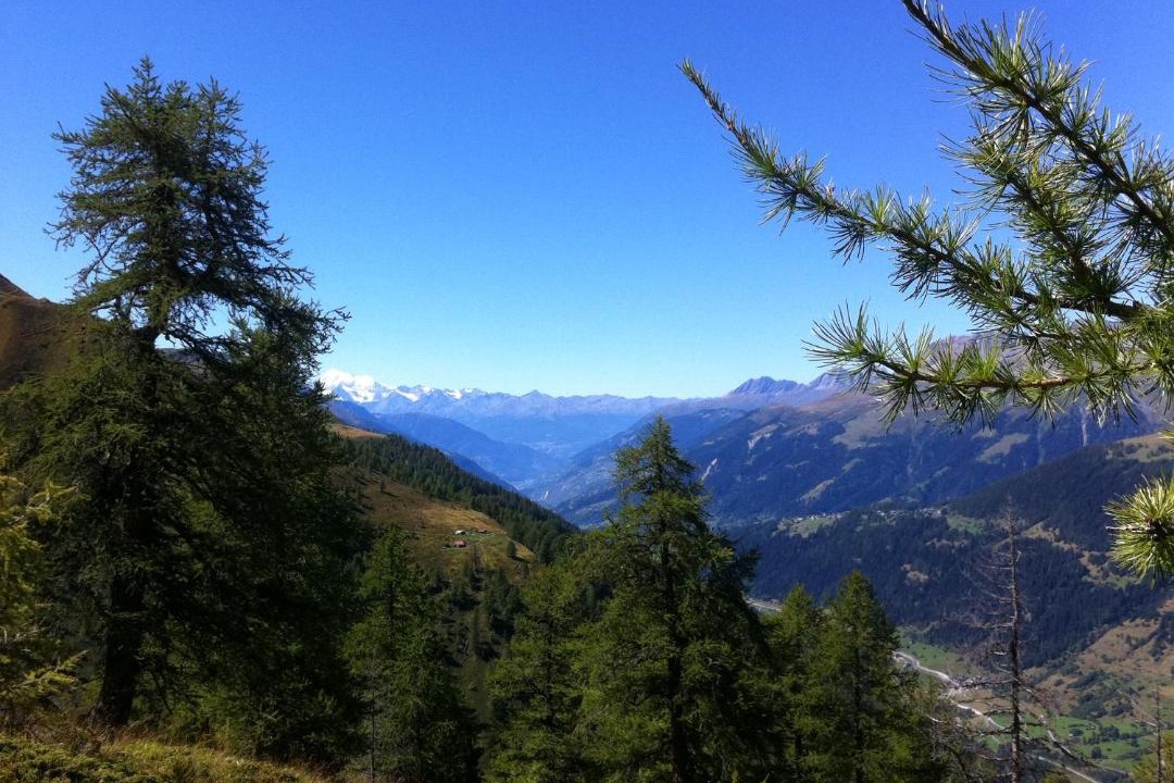 Photo of Others in Ulrichen