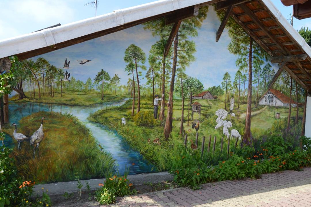 Photo of Others in Morcenx