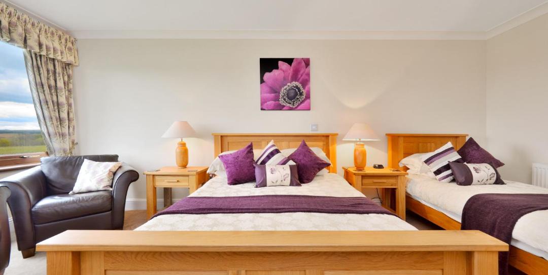 Photo of Others in Nine Mile Burn