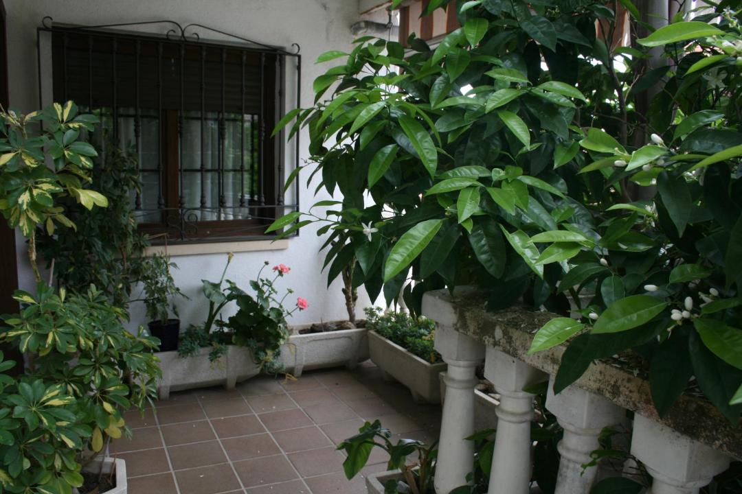 Photo of Others in San Esteban Del Valle
