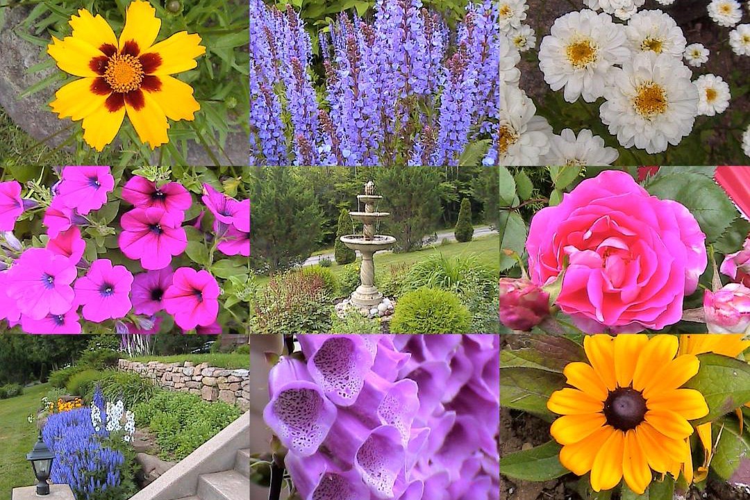 Photo of Others in Digby