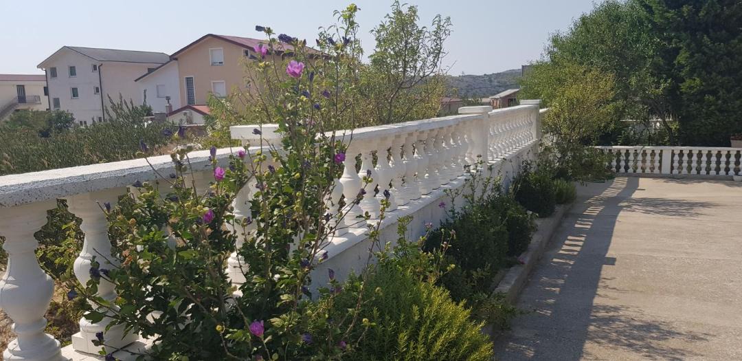 Photo of Others in Cesarica