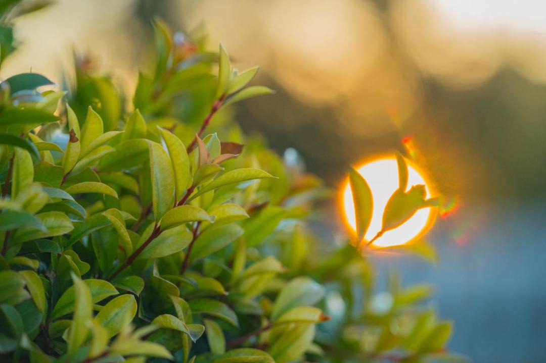 Photo of Others in Scone