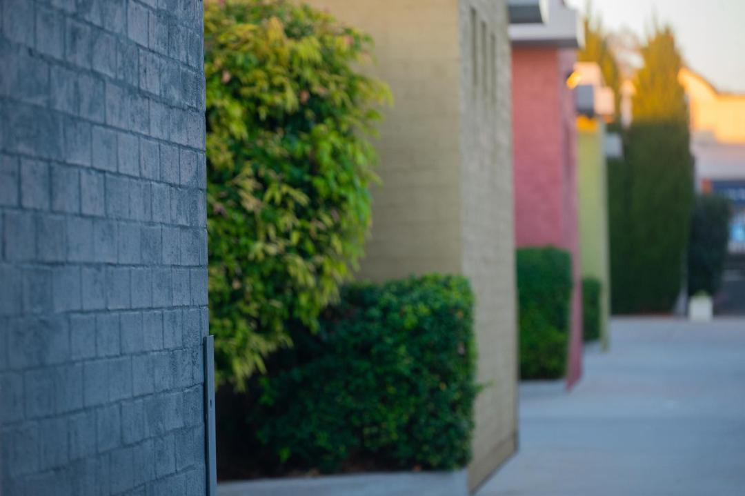 Photo of Others in Scone