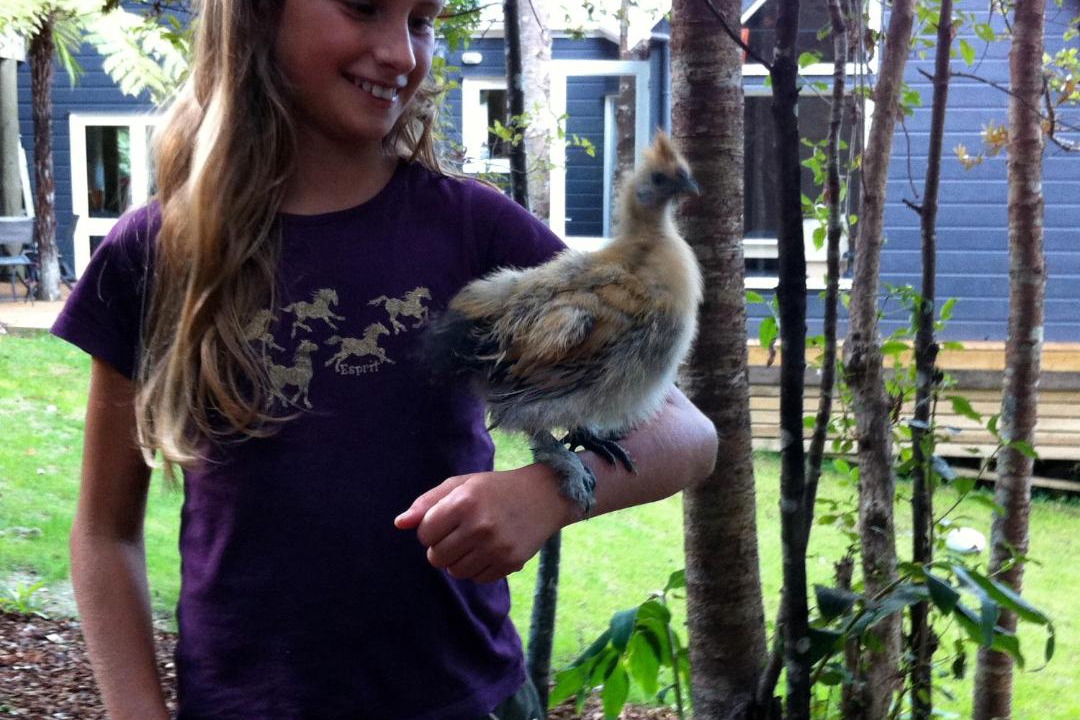 Photo of Others in Titirangi