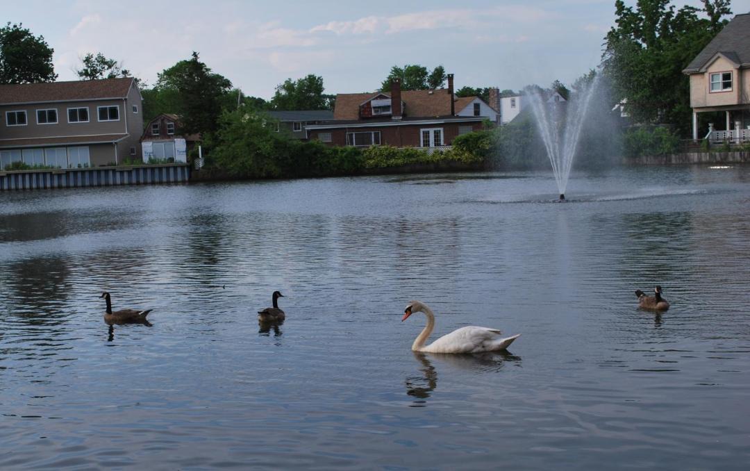 Photo of Others in Copiague