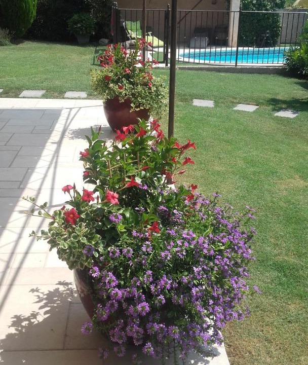 Photo of Others in Villelaure