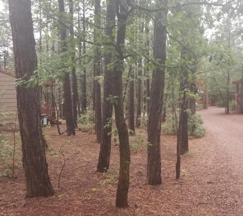 Photo of Others in Pinetop-Lakeside
