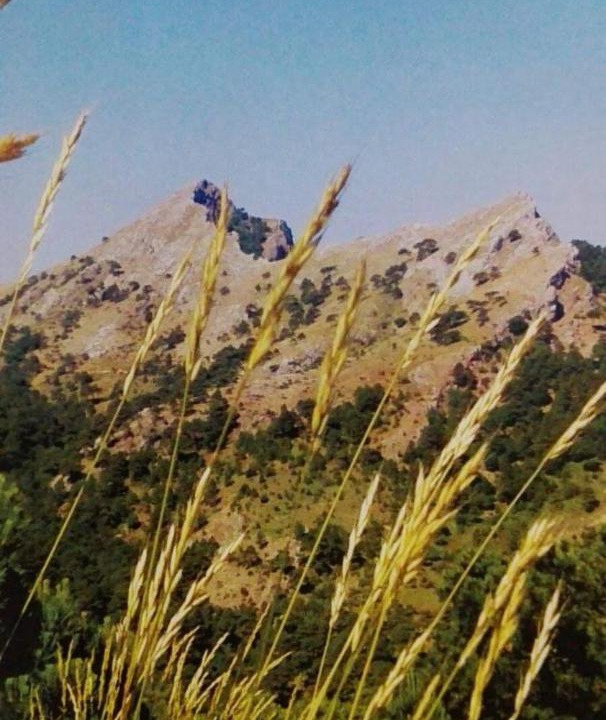 Photo of Others in Paterna del Madera