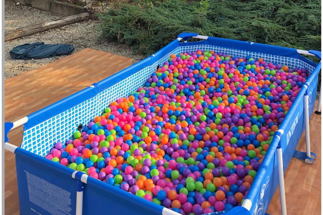 Photo of Others in Blaise