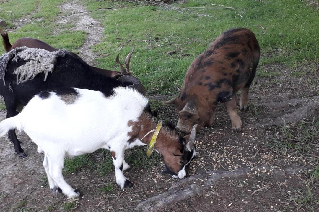 Photo of Others in Villers-Robert