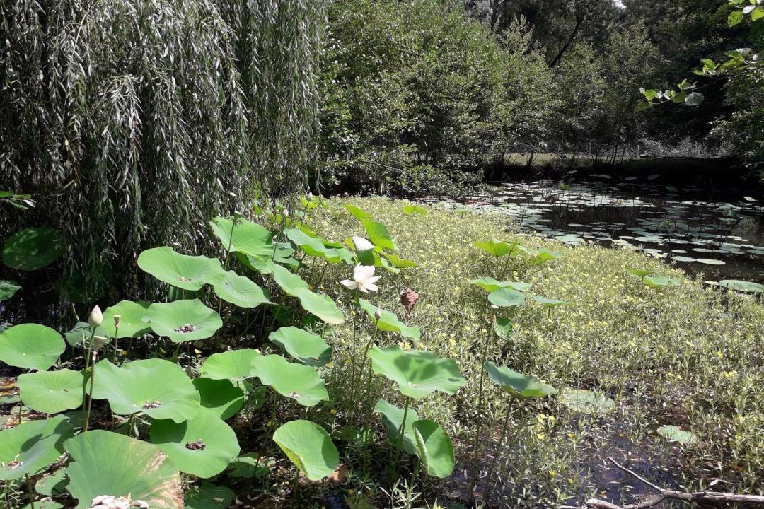 Photo of Others in Villers-Robert