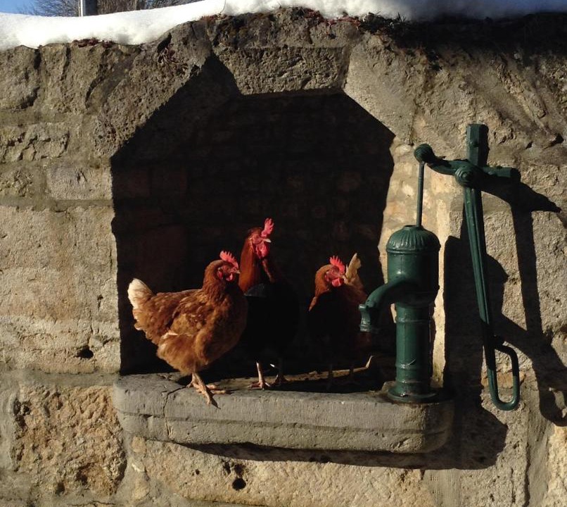 Photo of Others in Chevigney-les-Vercel