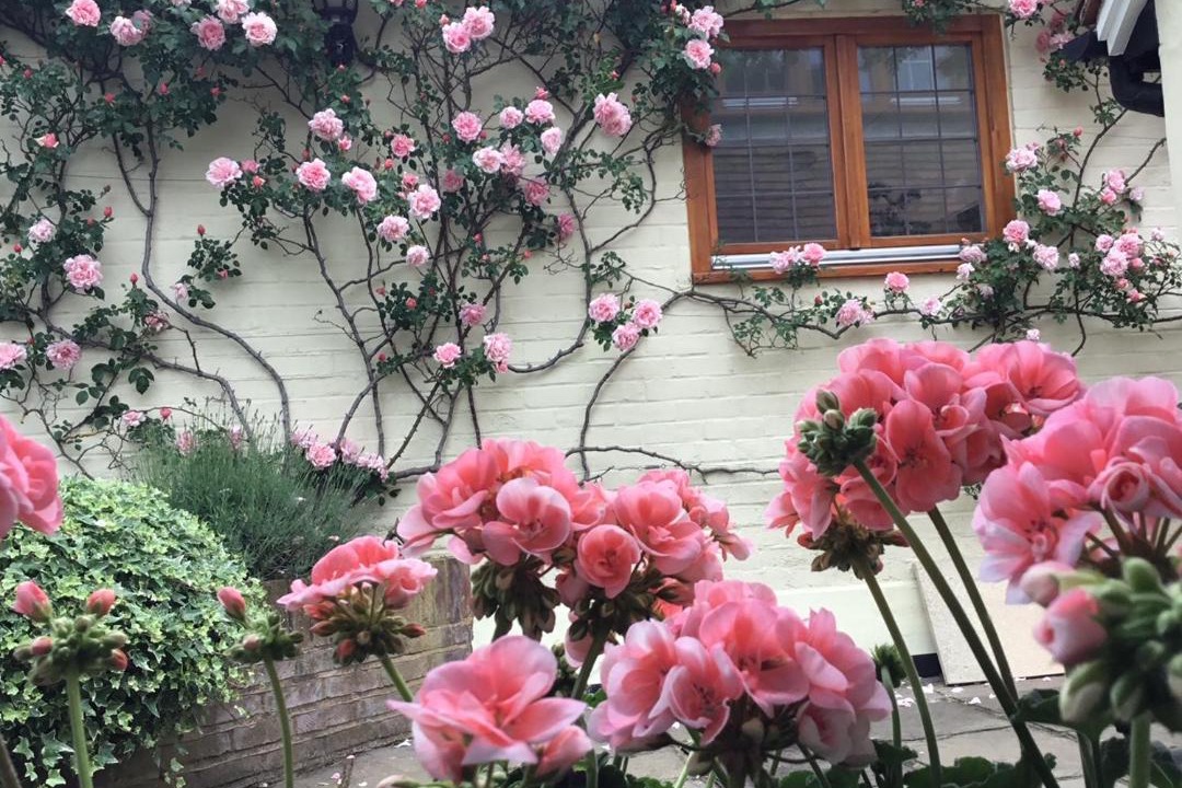 Photo of Others in Lower Assendon