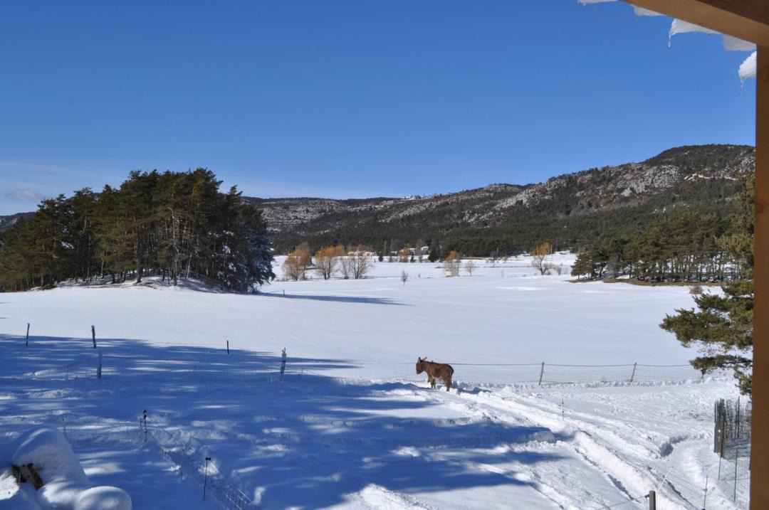 Photo of Others in Valderoure