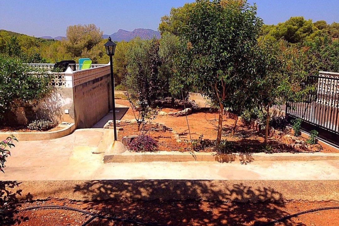 Photo of Others in Sagunto