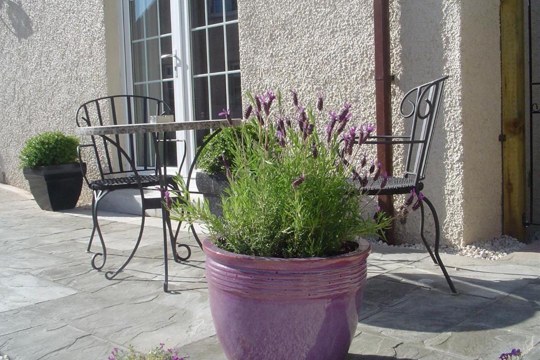 Photo of Others in Bilston