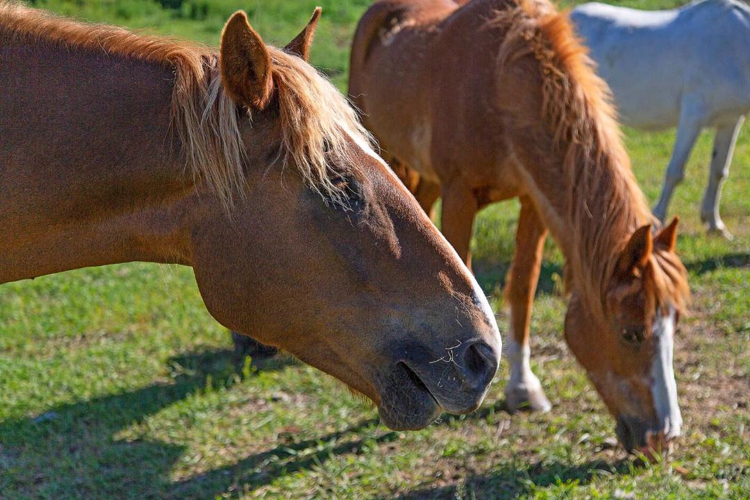 Photo of Others in Oroville