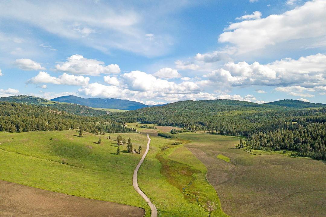 Photo of Others in Oroville