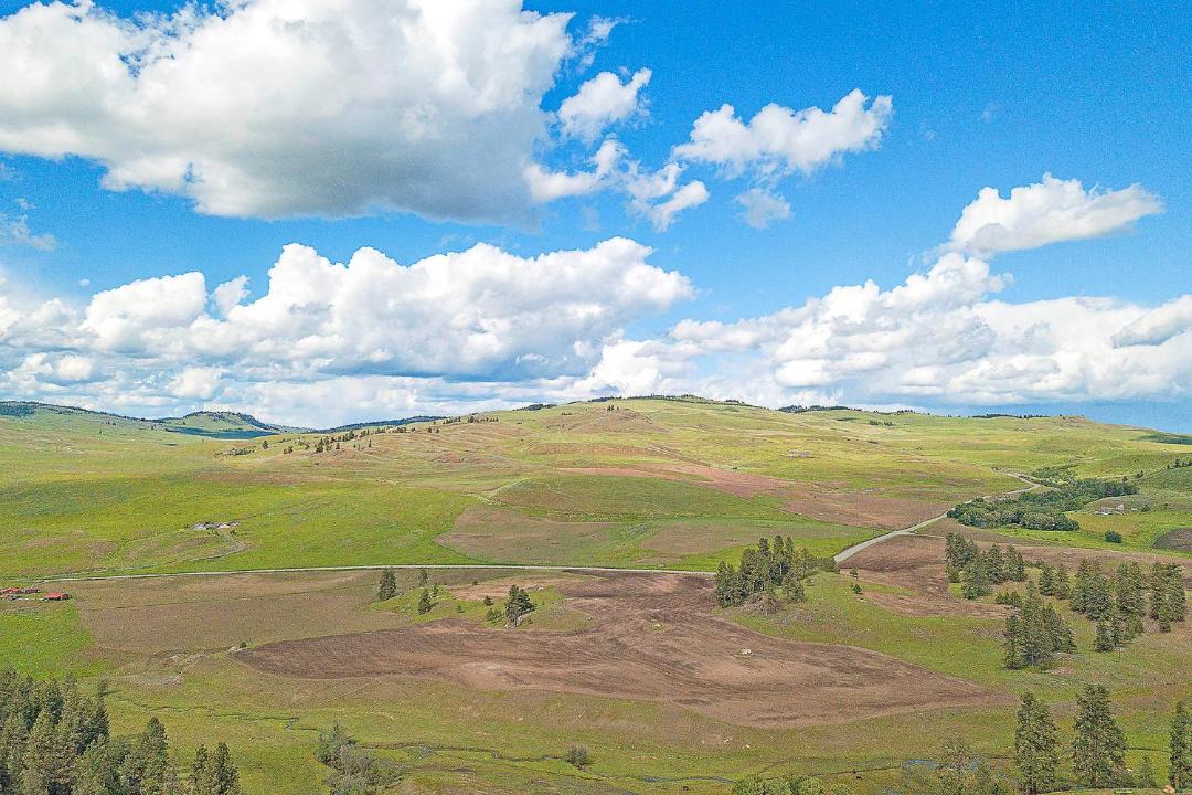 Photo of Others in Oroville