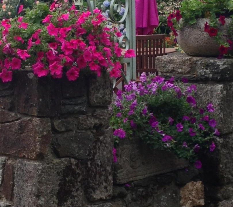 Photo of Others in Noyal-Pontivy