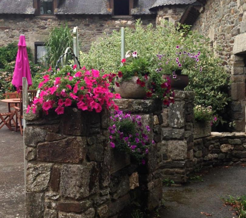 Photo of Others in Noyal-Pontivy