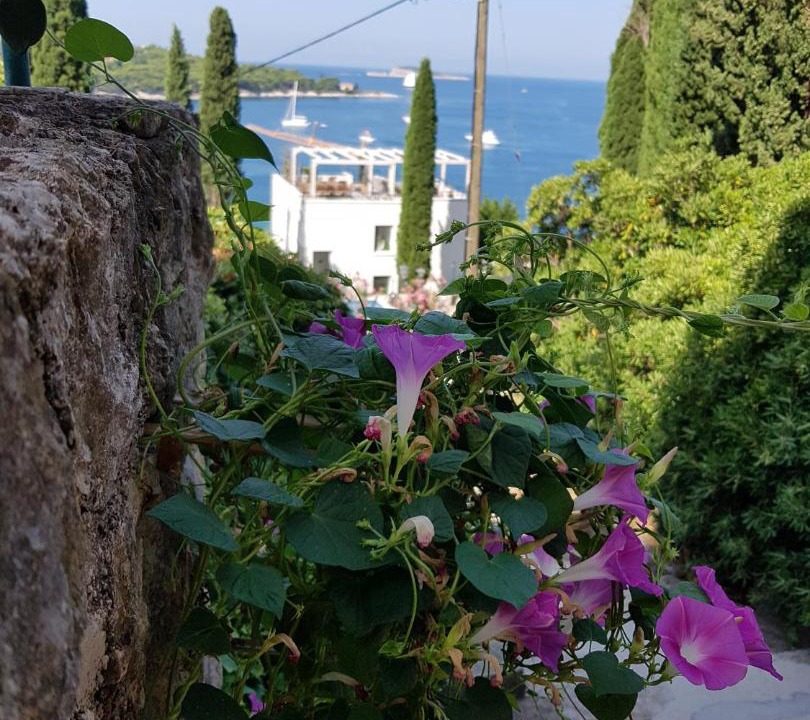 Photo of Others in Cavtat