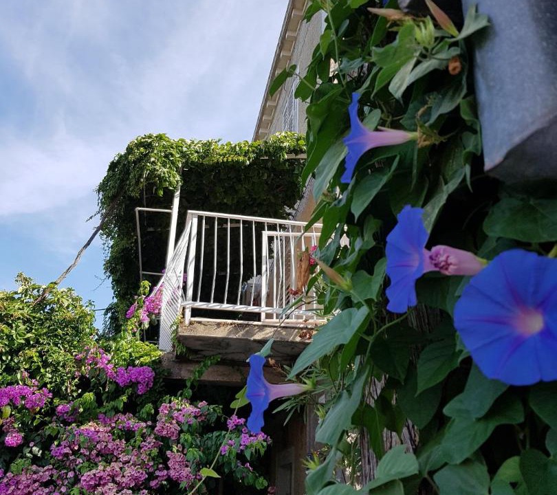 Photo of Others in Cavtat