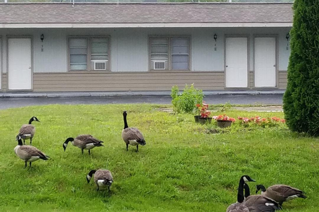 Photo of Others in Becket