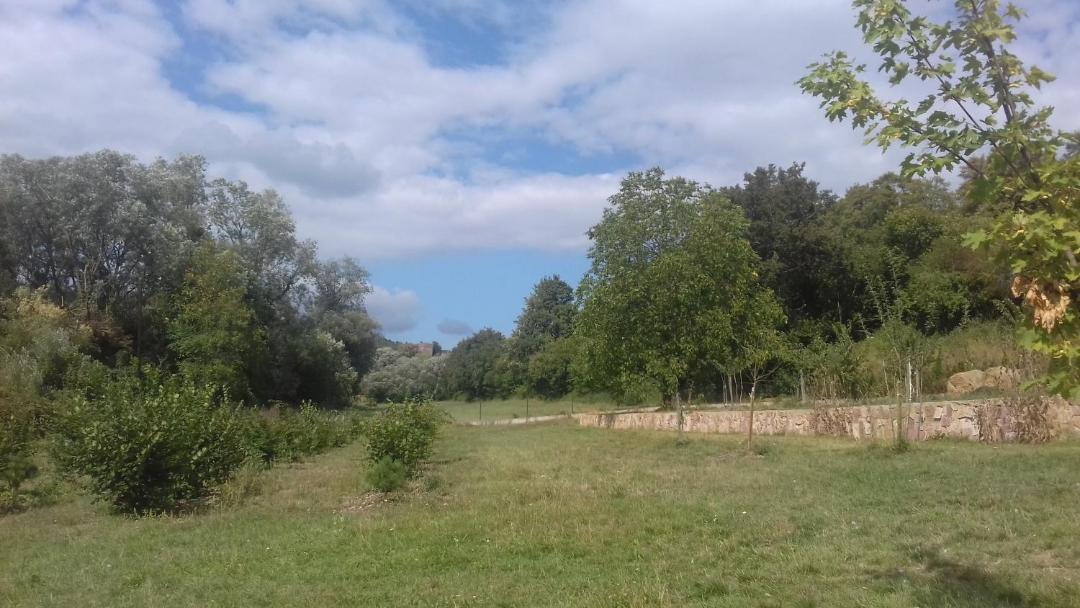 Photo of Outdoor in Wissembourg