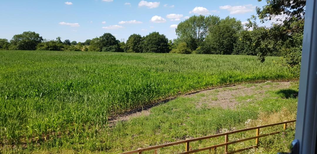 Photo of Others in Wistaston