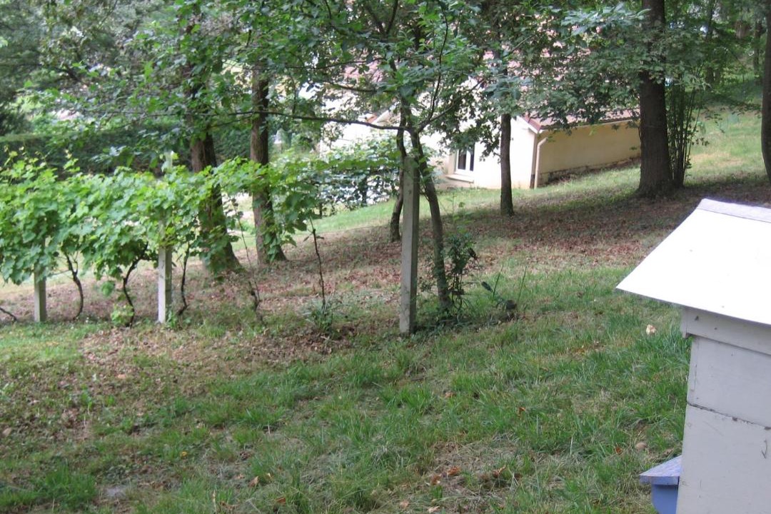 Photo of Others in Arthez-de-Bearn