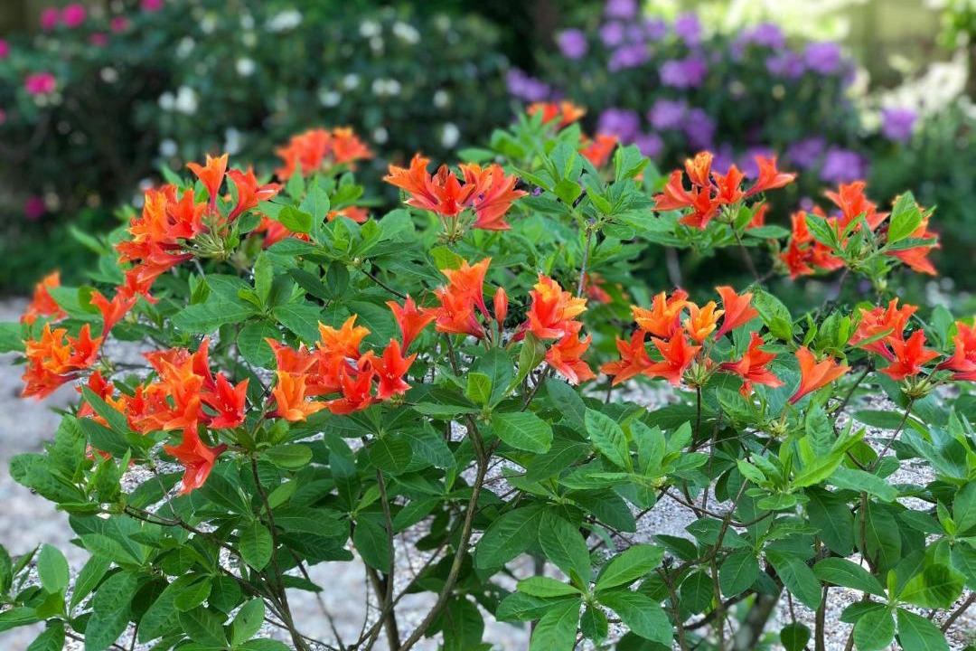 Photo of Outdoor in Forges-les-Bains