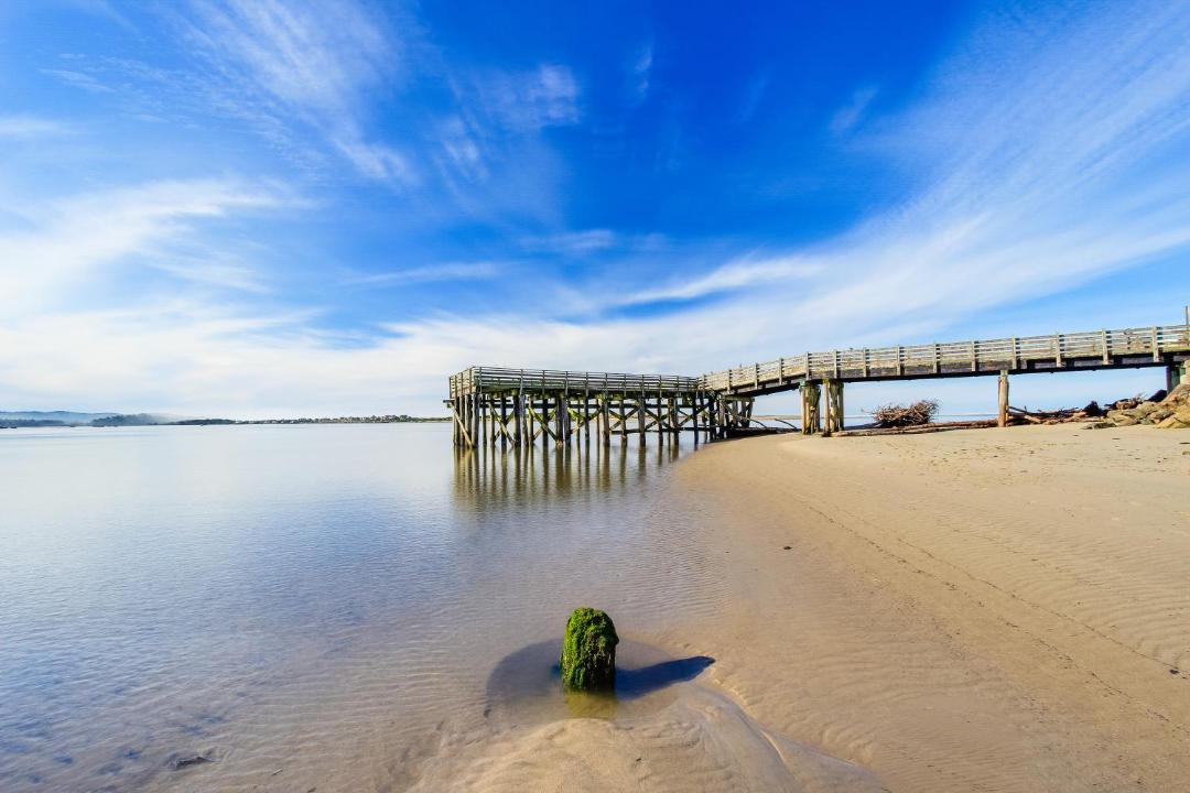 Photo of Others in Lincoln City