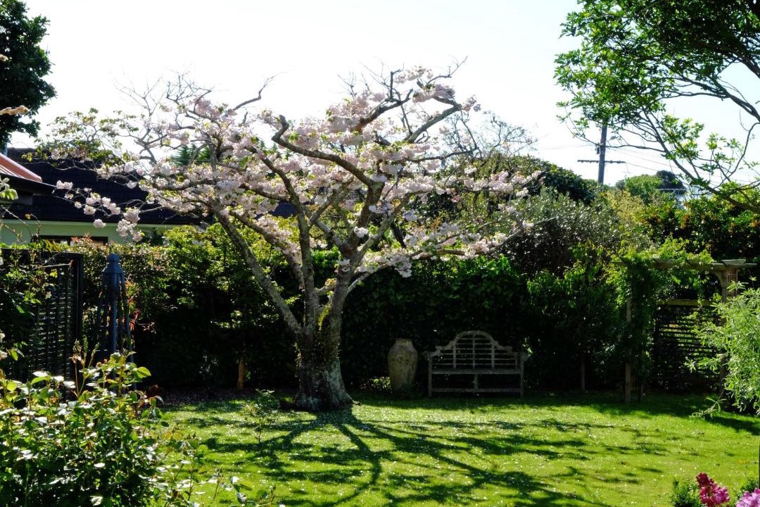 Photo of Others in Otaki