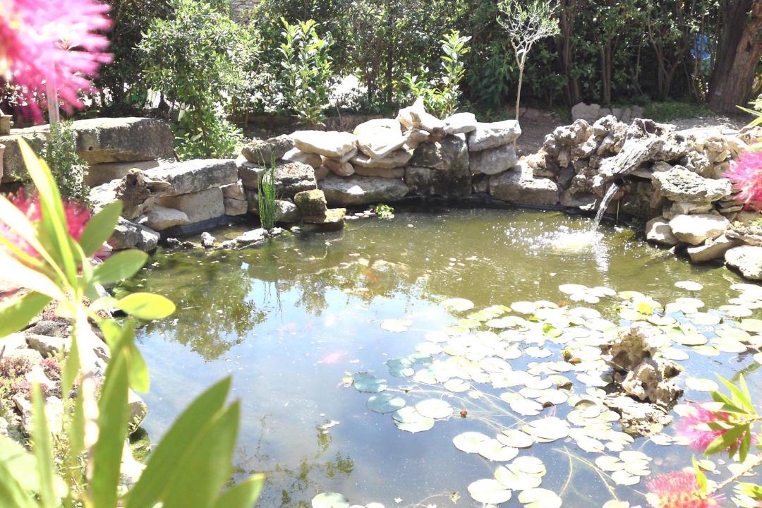 Photo of Others in Ledenon