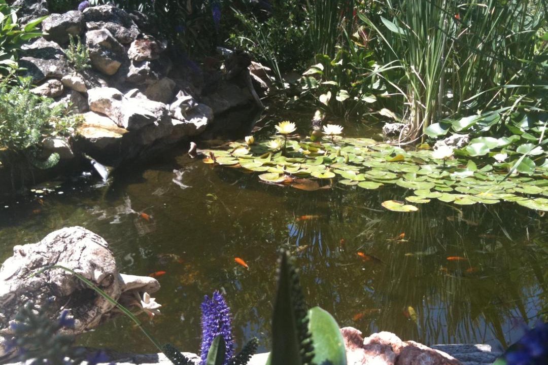 Photo of Others in Ledenon