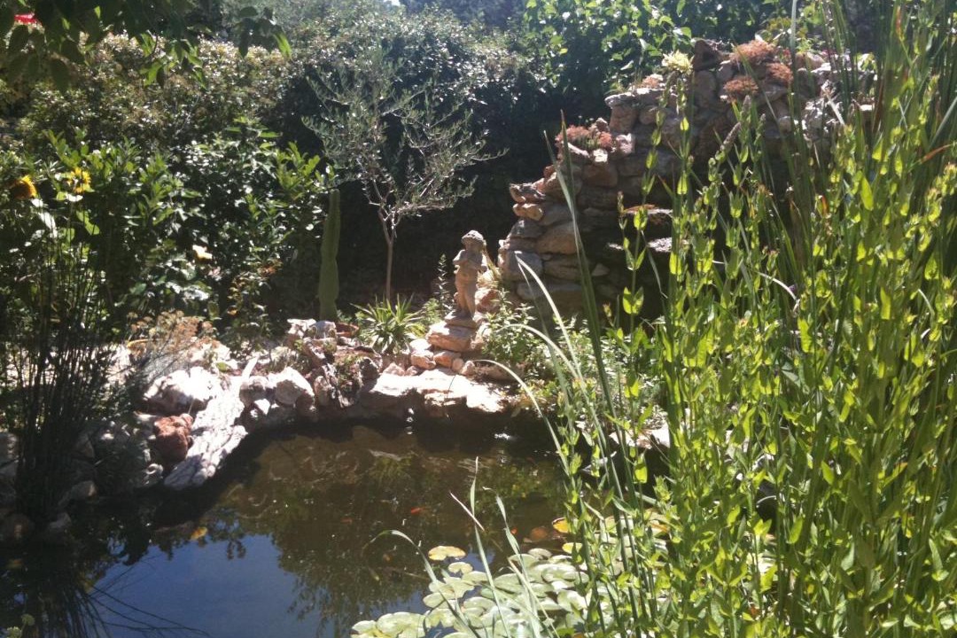 Photo of Others in Ledenon