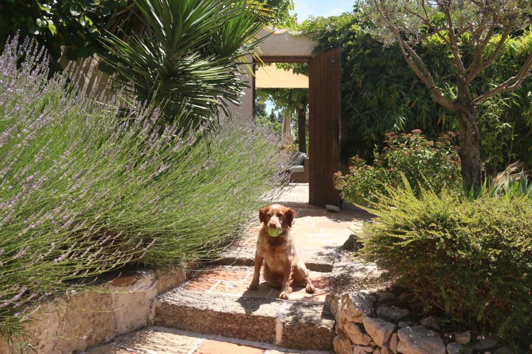 Photo of Others in Tourbes