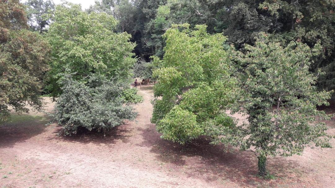 Photo of Outdoor in Ruaudin