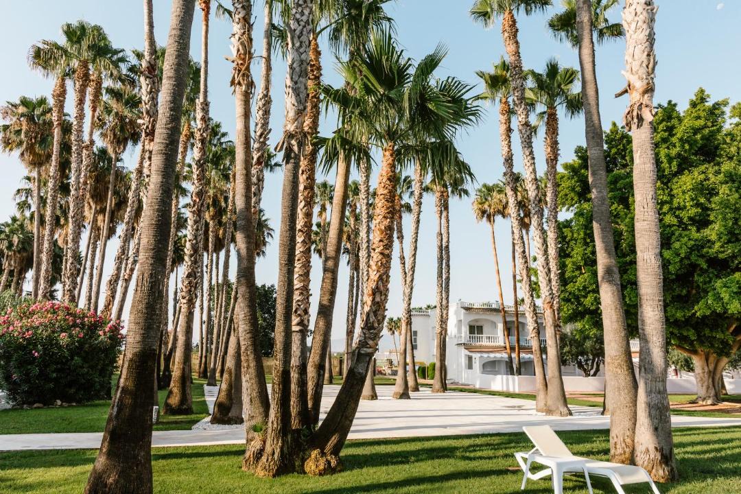 Photo of Others in Gandia