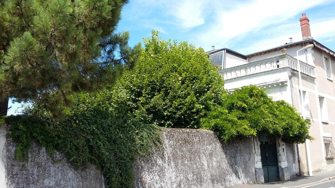 Photo of Buildings in Tours