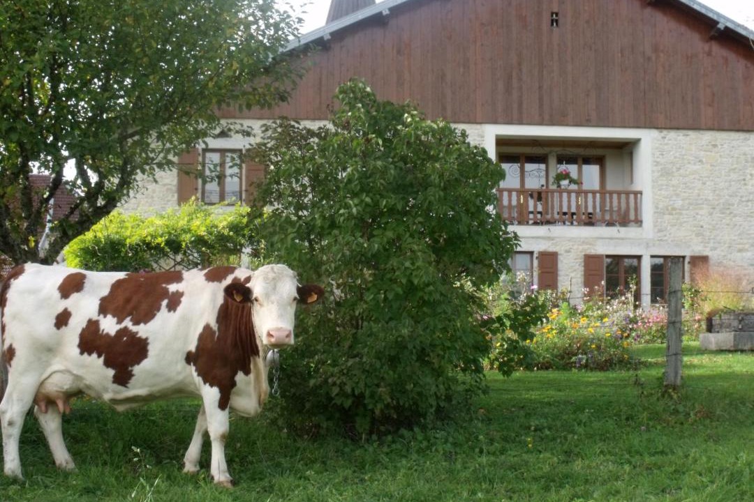 Photo of Buildings in Chevigney-les-Vercel