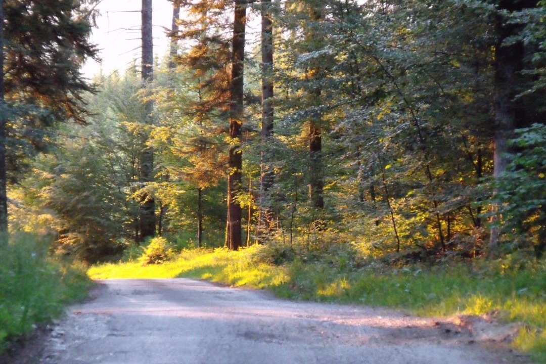 Photo of Outdoor in Chevigney-les-Vercel