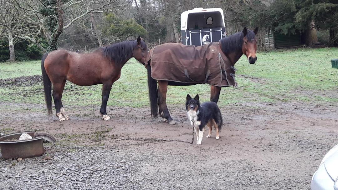 Photo of Human In Picture in Ruaudin