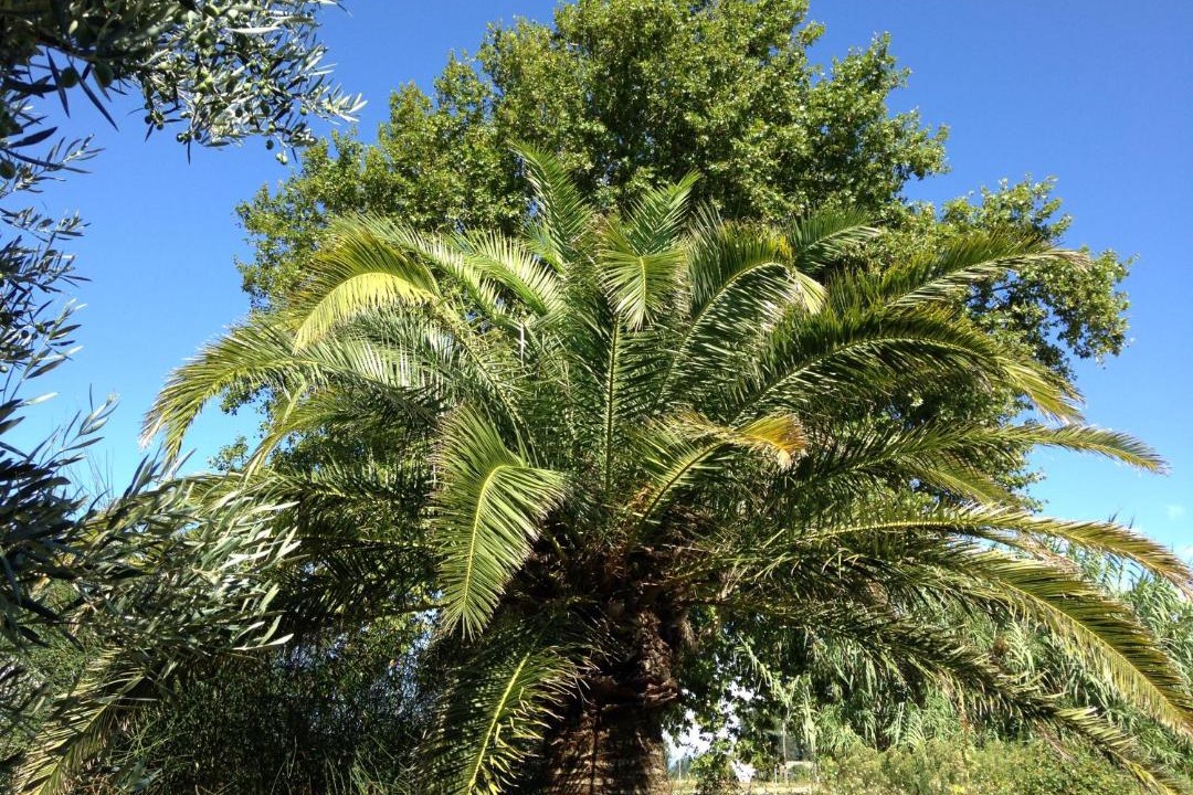 Photo of Outdoor in Lamotte-du-Rhone
