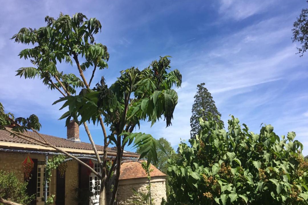 Photo of Others in Neuvicq