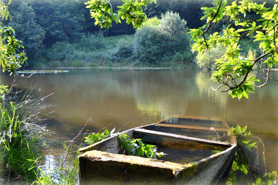 Photo of Others in Saint-Moreil