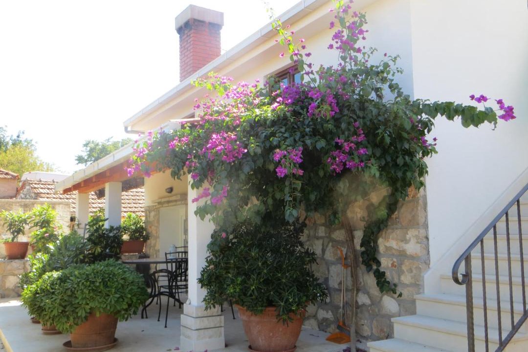 Photo of Patio Balcony in Loviste